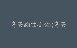 冬天狗生小狗(冬天狗生小狗容易存活吗)-警犬训练器材厂家 _警犬训练用品_工作犬训练用品-南京开久警犬装备