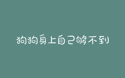 狗狗身上自己够不到的地方 - 警犬训练器材厂家 _警犬训练用品_工作犬训练用品-南京开久警犬装备-警犬训练器材厂家 _警犬训练用品_工作犬训练用品-南京开久警犬装备