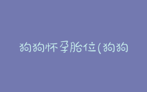 狗狗怀孕胎位(狗狗怀孕胎位横着会死嘛)-警犬训练器材厂家 _警犬训练用品_工作犬训练用品-南京开久警犬装备