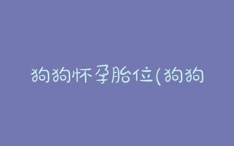 狗狗怀孕胎位(狗狗怀孕胎位横着会死嘛) - 警犬训练器材厂家 _警犬训练用品_工作犬训练用品-南京开久警犬装备-警犬训练器材厂家 _警犬训练用品_工作犬训练用品-南京开久警犬装备
