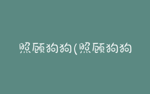 照顾狗狗(照顾狗狗需要注意什么)-警犬训练器材厂家 _警犬训练用品_工作犬训练用品-南京开久警犬装备