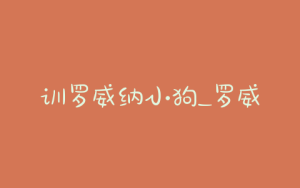 训罗威纳小狗_罗威纳多久生小狗-警犬训练器材厂家 _警犬训练用品_工作犬训练用品-南京开久警犬装备
