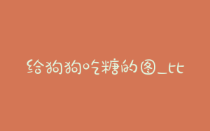 给狗狗吃糖的图_比熊狗狗可以吃糖吗-警犬训练器材厂家 _警犬训练用品_工作犬训练用品-南京开久警犬装备