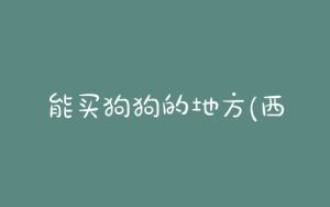 能买狗狗的地方(西宁买狗狗的地方)-警犬训练器材厂家 _警犬训练用品_工作犬训练用品-南京开久警犬装备