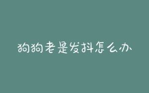 狗狗老是发抖怎么办(一个多月大的狗狗为什么老是发抖)-警犬训练器材厂家 _警犬训练用品_工作犬训练用品-南京开久警犬装备