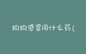 狗狗感冒用什么药(狗狗感冒了能吃人的感冒药吗)-警犬训练器材厂家 _警犬训练用品_工作犬训练用品-南京开久警犬装备