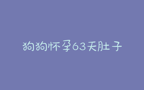 狗狗怀孕63天肚子小(狗狗怀孕四十天但是肚子看不出来) - 警犬训练器材厂家 _警犬训练用品_工作犬训练用品-南京开久警犬装备-警犬训练器材厂家 _警犬训练用品_工作犬训练用品-南京开久警犬装备