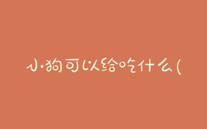 小狗可以给吃什么(刚断奶的小狗吃什么)-警犬训练器材厂家 _警犬训练用品_工作犬训练用品-南京开久警犬装备