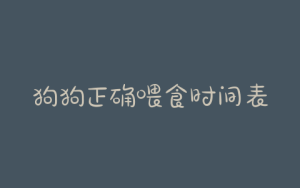 狗狗正确喂食时间表狗狗正确喂食时间表是什么-警犬训练器材厂家 _警犬训练用品_工作犬训练用品-南京开久警犬装备