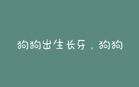 狗狗出生长牙,狗狗长牙顺序 - 警犬训练器材厂家 _警犬训练用品_工作犬训练用品-南京开久警犬装备-警犬训练器材厂家 _警犬训练用品_工作犬训练用品-南京开久警犬装备