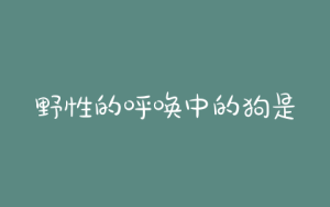 野性的呼唤中的狗是什么狗(野性的呼唤buck是什么狗)-警犬训练器材厂家 _警犬训练用品_工作犬训练用品-南京开久警犬装备
