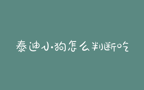 泰迪小狗怎么判断吃饱？怎么判断小狗是不是泰迪 - 警犬训练器材厂家 _警犬训练用品_工作犬训练用品-南京开久警犬装备-警犬训练器材厂家 _警犬训练用品_工作犬训练用品-南京开久警犬装备