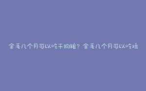 金毛几个月可以吃干狗粮？金毛几个月可以吃鸡架子-警犬训练器材厂家 _警犬训练用品_工作犬训练用品-南京开久警犬装备
