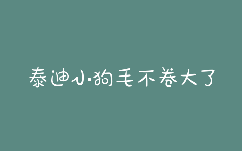 泰迪小狗毛不卷大了会不会卷 - 警犬训练器材厂家 _警犬训练用品_工作犬训练用品-南京开久警犬装备-警犬训练器材厂家 _警犬训练用品_工作犬训练用品-南京开久警犬装备