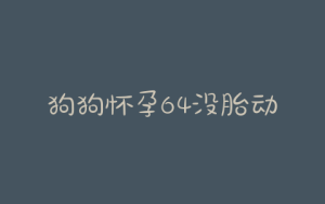 狗狗怀孕64没胎动-警犬训练器材厂家 _警犬训练用品_工作犬训练用品-南京开久警犬装备