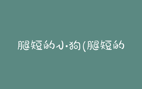 腿短的小狗(腿短的小狗叫什么名字) - 警犬训练器材厂家 _警犬训练用品_工作犬训练用品-南京开久警犬装备-警犬训练器材厂家 _警犬训练用品_工作犬训练用品-南京开久警犬装备
