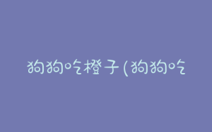 狗狗吃橙子(狗狗吃橙子会上火吗)-警犬训练器材厂家 _警犬训练用品_工作犬训练用品-南京开久警犬装备