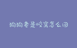 狗狗老是咬窝怎么回事？狗狗老是咬 *** 怎么回事-警犬训练器材厂家 _警犬训练用品_工作犬训练用品-南京开久警犬装备