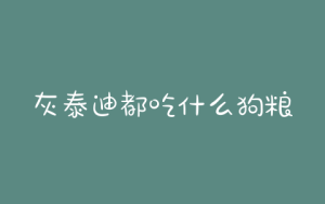 灰泰迪都吃什么狗粮？灰泰迪吃什么狗粮有助于返灰-警犬训练器材厂家 _警犬训练用品_工作犬训练用品-南京开久警犬装备