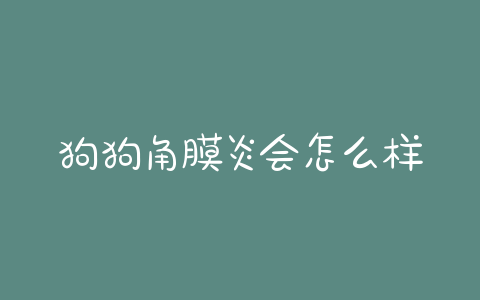 狗狗角膜炎会怎么样？狗狗角膜炎初期 *** - 警犬训练器材厂家 _警犬训练用品_工作犬训练用品-南京开久警犬装备-警犬训练器材厂家 _警犬训练用品_工作犬训练用品-南京开久警犬装备
