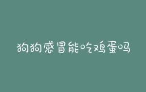 狗狗感冒能吃鸡蛋吗？感冒吃鸡蛋可以吃吗-警犬训练器材厂家 _警犬训练用品_工作犬训练用品-南京开久警犬装备