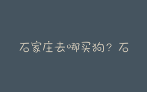 石家庄去哪买狗？石家庄在哪里买狗最安全-警犬训练器材厂家 _警犬训练用品_工作犬训练用品-南京开久警犬装备