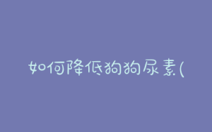 如何降低狗狗尿素(如何降低狗狗的地位)-警犬训练器材厂家 _警犬训练用品_工作犬训练用品-南京开久警犬装备
