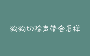 狗狗切除声带会怎样治疗 ***-警犬训练器材厂家 _警犬训练用品_工作犬训练用品-南京开久警犬装备