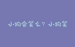 小狗会笑么？小狗笑是什么样子-警犬训练器材厂家 _警犬训练用品_工作犬训练用品-南京开久警犬装备