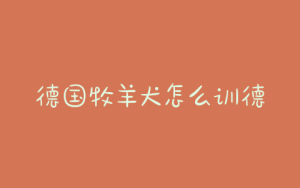 德国牧羊犬怎么训德国牧羊犬的三项基本训练？-警犬训练器材厂家 _警犬训练用品_工作犬训练用品-南京开久警犬装备