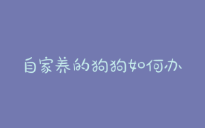 自家养的狗狗如何办理血统证书-警犬训练器材厂家 _警犬训练用品_工作犬训练用品-南京开久警犬装备