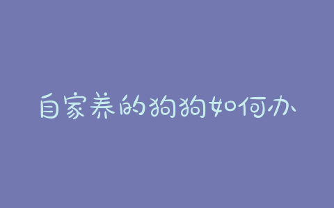 自家养的狗狗如何办理血统证书 - 警犬训练器材厂家 _警犬训练用品_工作犬训练用品-南京开久警犬装备-警犬训练器材厂家 _警犬训练用品_工作犬训练用品-南京开久警犬装备