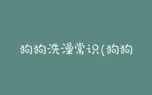 狗狗洗澡常识(狗狗生理期间能洗澡吗)-警犬训练器材厂家 _警犬训练用品_工作犬训练用品-南京开久警犬装备