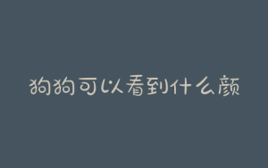 狗狗可以看到什么颜色(狗狗眼里可以看到什么颜色)-警犬训练器材厂家 _警犬训练用品_工作犬训练用品-南京开久警犬装备