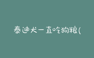 泰迪犬一直吃狗粮(泰迪犬吃狗粮一次囤二十斤好吗)-警犬训练器材厂家 _警犬训练用品_工作犬训练用品-南京开久警犬装备
