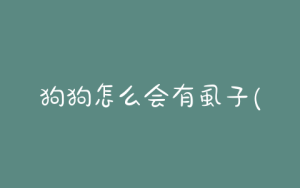 狗狗怎么会有虱子(怎么会生虱子)-警犬训练器材厂家 _警犬训练用品_工作犬训练用品-南京开久警犬装备