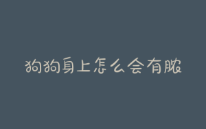 狗狗身上怎么会有脓包(狗狗没出门身上怎么会有跳蚤)-警犬训练器材厂家 _警犬训练用品_工作犬训练用品-南京开久警犬装备