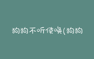 狗狗不听使唤(狗狗不听使唤怎么办)-警犬训练器材厂家 _警犬训练用品_工作犬训练用品-南京开久警犬装备