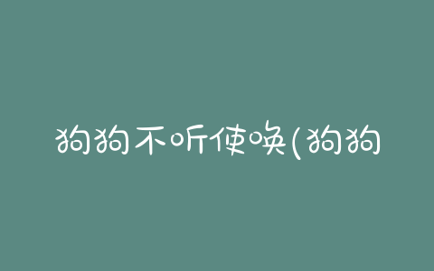 狗狗不听使唤(狗狗不听使唤怎么办) - 警犬训练器材厂家 _警犬训练用品_工作犬训练用品-南京开久警犬装备-警犬训练器材厂家 _警犬训练用品_工作犬训练用品-南京开久警犬装备