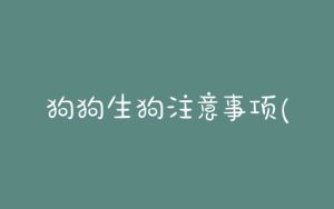 狗狗生狗注意事项(狗狗生完注意事项)-警犬训练器材厂家 _警犬训练用品_工作犬训练用品-南京开久警犬装备