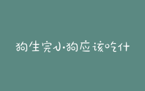 狗生完小狗应该吃什么？刚出生的小狗能吃什么-警犬训练器材厂家 _警犬训练用品_工作犬训练用品-南京开久警犬装备