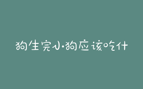 狗生完小狗应该吃什么?刚出生的小狗能吃什么 - 警犬训练器材厂家 _警犬训练用品_工作犬训练用品-南京开久警犬装备-警犬训练器材厂家 _警犬训练用品_工作犬训练用品-南京开久警犬装备