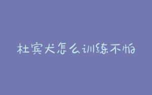 杜宾犬怎么训练不怕其他小狗？-警犬训练器材厂家 _警犬训练用品_工作犬训练用品-南京开久警犬装备