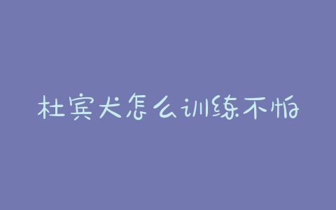 杜宾犬怎么训练不怕其他小狗? - 警犬训练器材厂家 _警犬训练用品_工作犬训练用品-南京开久警犬装备-警犬训练器材厂家 _警犬训练用品_工作犬训练用品-南京开久警犬装备