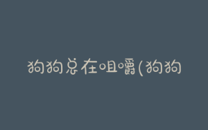 狗狗总在咀嚼(狗狗总是在空嘴咀嚼)-警犬训练器材厂家 _警犬训练用品_工作犬训练用品-南京开久警犬装备