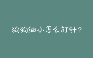 狗狗细小怎么打针？狗狗细小打针第二天什么状态-警犬训练器材厂家 _警犬训练用品_工作犬训练用品-南京开久警犬装备