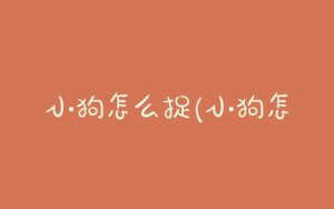 小狗怎么捉(小狗怎么捉不会被咬到)-警犬训练器材厂家 _警犬训练用品_工作犬训练用品-南京开久警犬装备