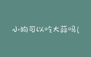 小狗可以吃大蒜吗(小狗喜欢吃大蒜怎么办)-警犬训练器材厂家 _警犬训练用品_工作犬训练用品-南京开久警犬装备