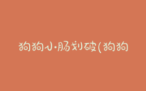 狗狗小肠划破(狗狗可以吃小肠吗)-警犬训练器材厂家 _警犬训练用品_工作犬训练用品-南京开久警犬装备