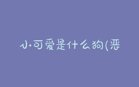 小可爱是什么狗(恶作剧之吻的小可爱是什么狗) - 警犬训练器材厂家 _警犬训练用品_工作犬训练用品-南京开久警犬装备-警犬训练器材厂家 _警犬训练用品_工作犬训练用品-南京开久警犬装备